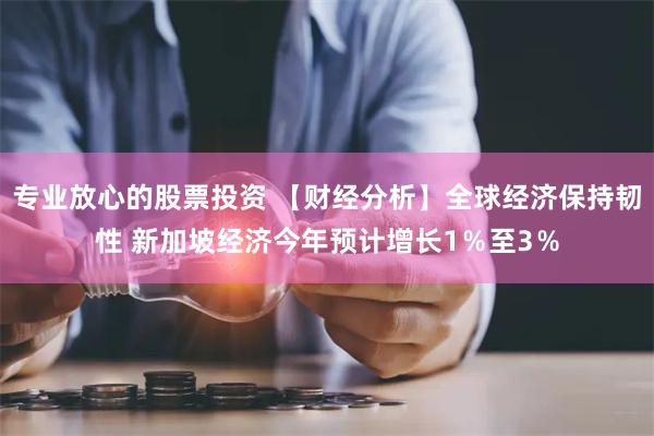 专业放心的股票投资 【财经分析】全球经济保持韧性 新加坡经济今年预计增长1％至3％