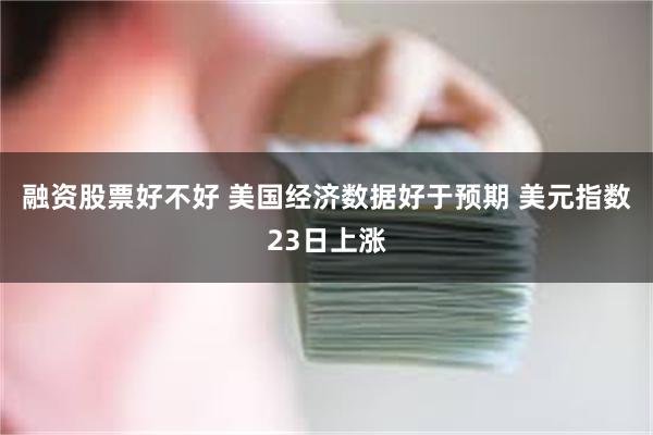 融资股票好不好 美国经济数据好于预期 美元指数23日上涨