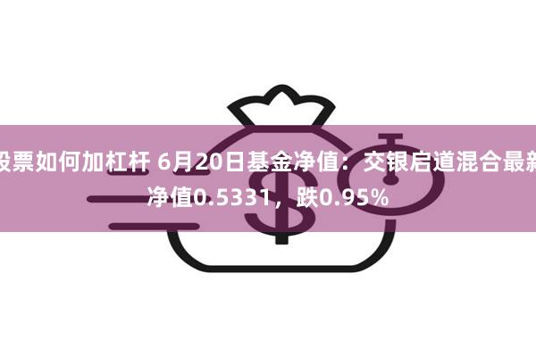 股票如何加杠杆 6月20日基金净值：交银启道混合最新净值0.5331，跌0.95%