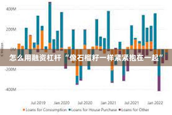 怎么用融资杠杆 “像石榴籽一样紧紧抱在一起”