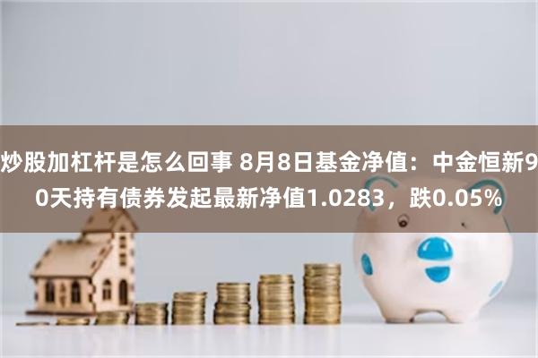 炒股加杠杆是怎么回事 8月8日基金净值：中金恒新90天持有债券发起最新净值1.0283，跌0.05%