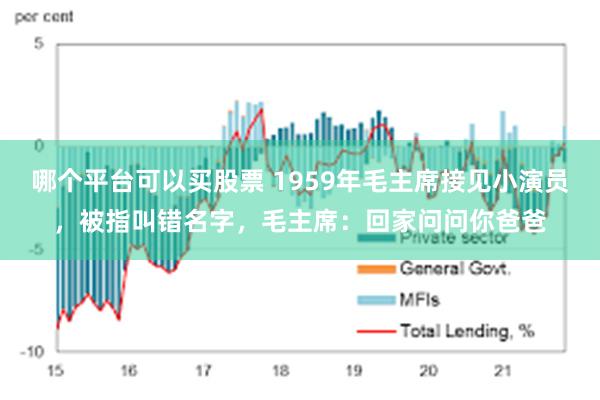 哪个平台可以买股票 1959年毛主席接见小演员，被指叫错名字，毛主席：回家问问你爸爸