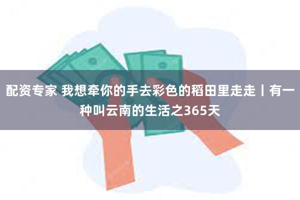 配资专家 我想牵你的手去彩色的稻田里走走丨有一种叫云南的生活之365天