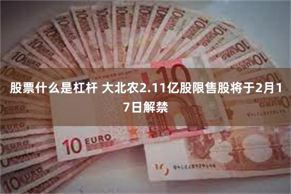 股票什么是杠杆 大北农2.11亿股限售股将于2月17日解禁