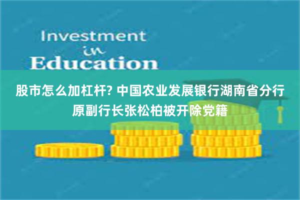 股市怎么加杠杆? 中国农业发展银行湖南省分行原副行长张松柏被开除党籍