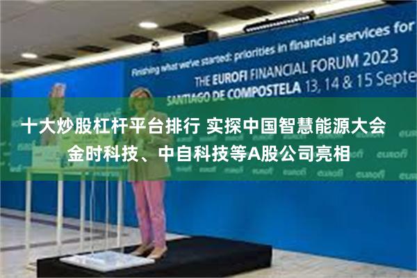 十大炒股杠杆平台排行 实探中国智慧能源大会  金时科技、中自科技等A股公司亮相
